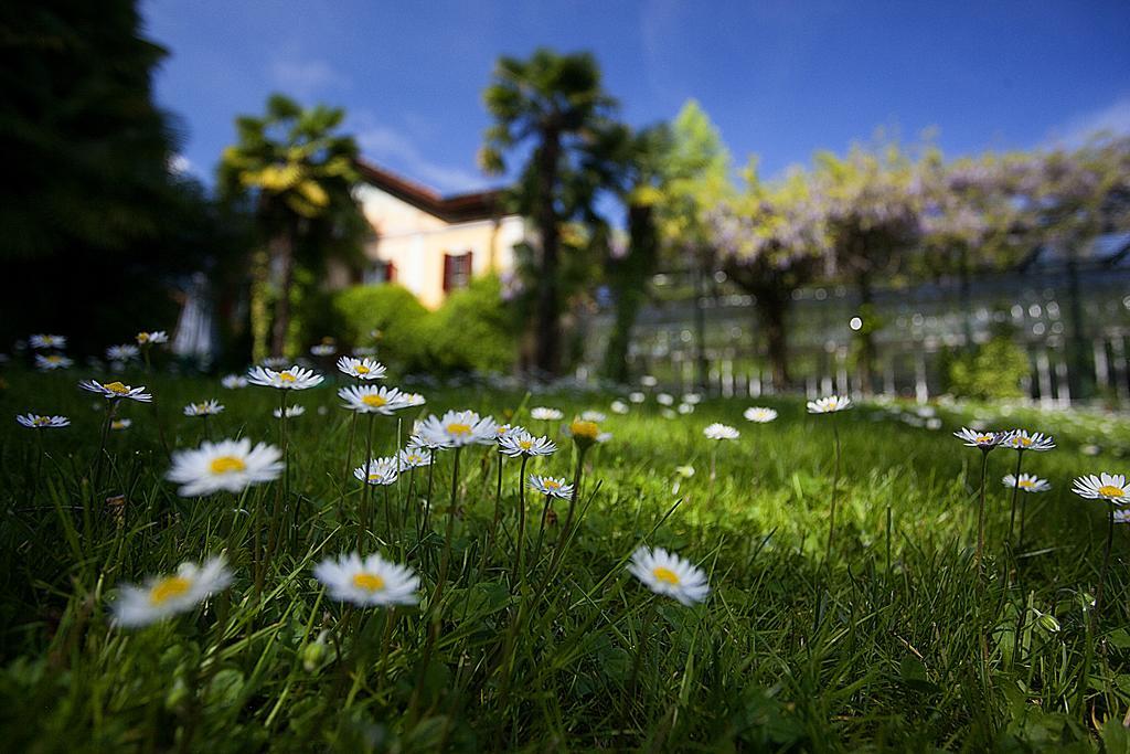 Albergo Ristorante Madonnina Cantello Kültér fotó